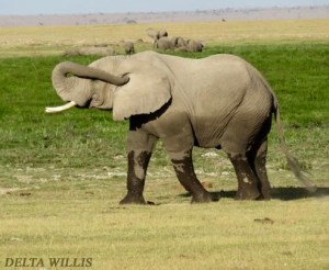 56bd0d78-19b1-44b7-8406-eeeb2f76ce20