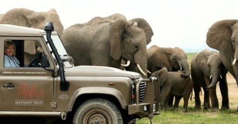 5b95240d-61cc-4593-a6bd-049752166c69 (1)